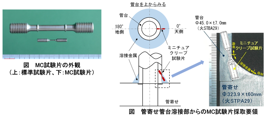 試験片外観