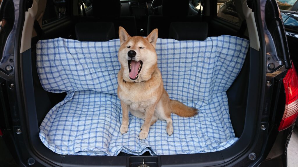 サブローと車