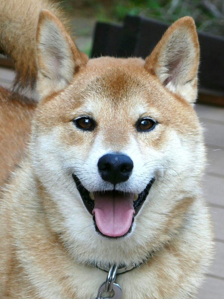 サブロー
